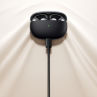 Shokz Shokz OpenDots One black