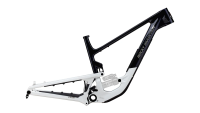 Rocky Mountain Altitude Carbon Frameset (29)