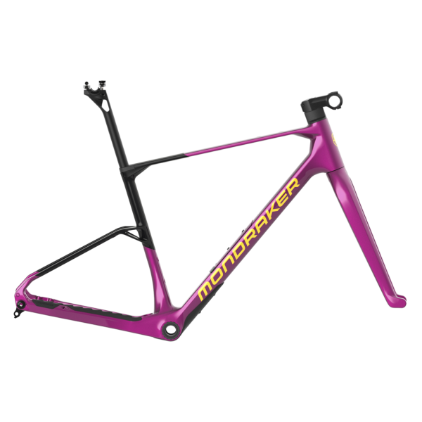 Mondraker ARID Carbon Frame