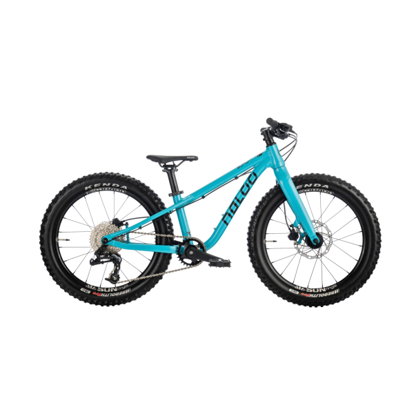 NALOO Hill Bill 20" Mk3  9-Speed