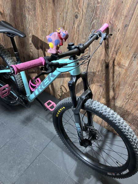 Trek Roscoe 7